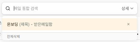 써팀 빈 검색창에 표시된 검색어·대상·메일함 이력